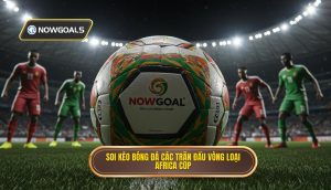 Soi kèo bóng đá các trận đấu vòng loại Africa Cup