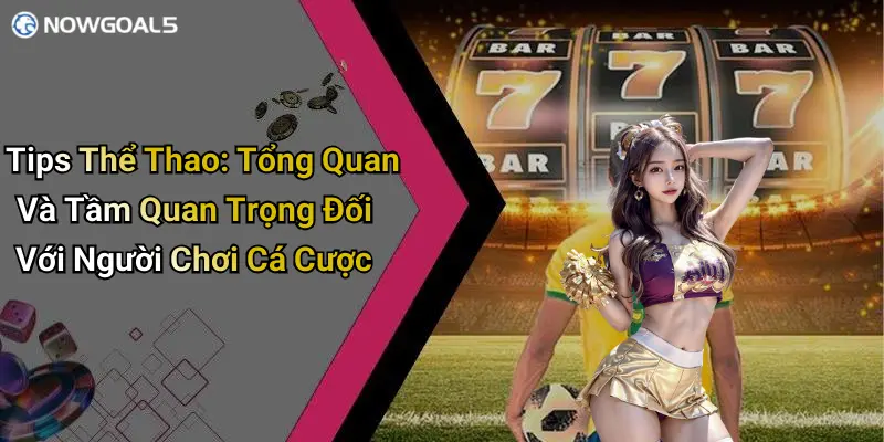 Tips thể thao là gì? đặc điểm nhận diện tips chuẩn