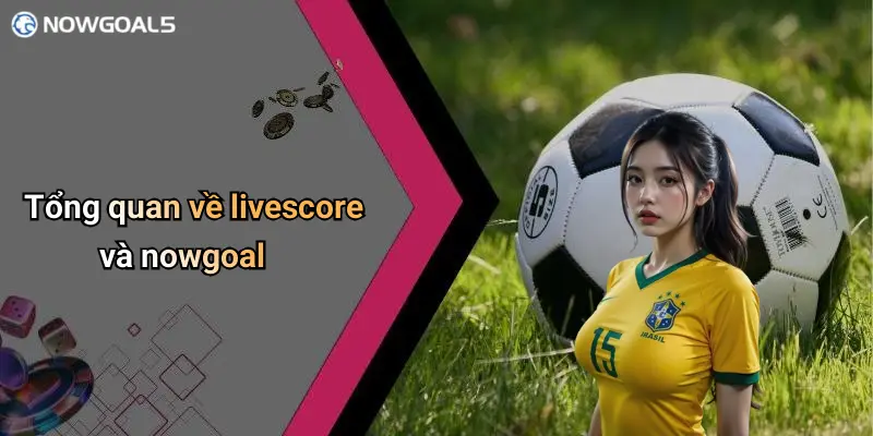 Tổng quan về livescore và nowgoal