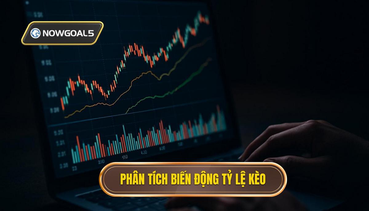 Phân tích biến động tỷ lệ kèo và tâm lý nhà cái