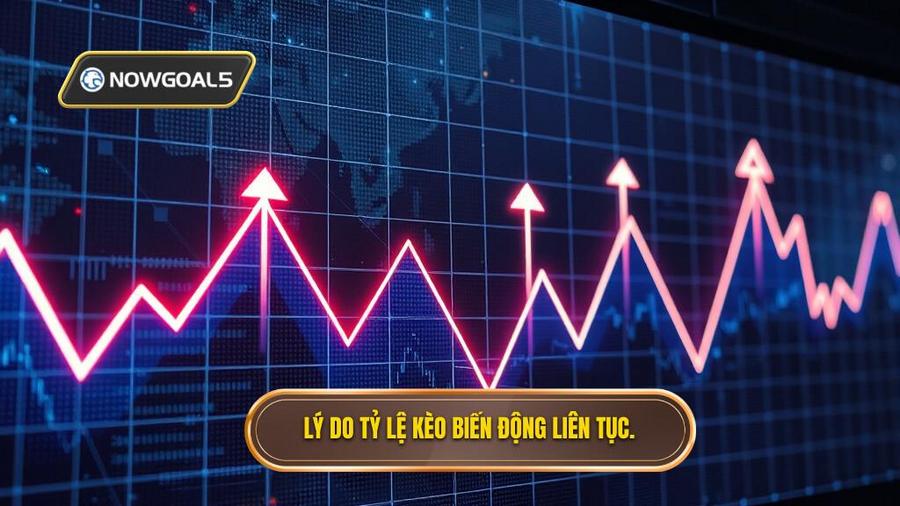 Lý do tỷ lệ kèo biến động liên tục